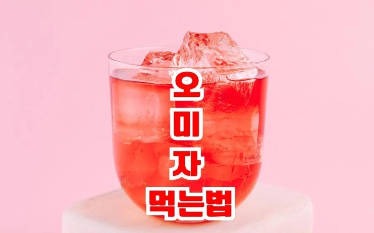  오미자 효능 7가지 부작용 먹는법 오미자주스