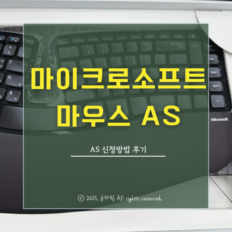 마이크로소프트 스컬프트 에고노믹 AS 신청방법 후기 키보드 마우스