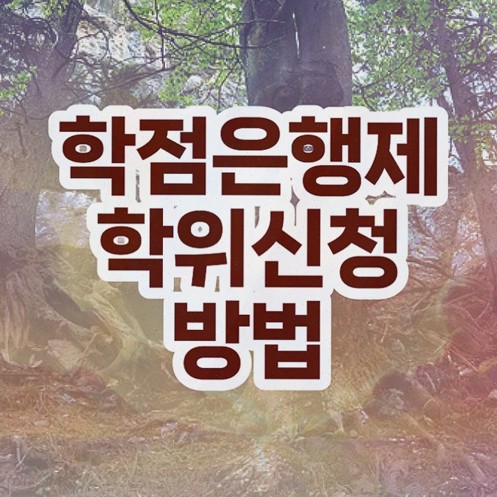  고졸 취업 후기 , 학점은행제 전공 공부 온라인 수업만으로 준비했던 비법