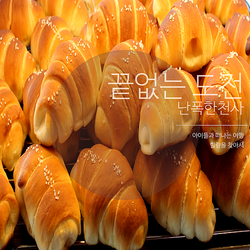 쌀빵 유기농빵 소금빵 맛집으로 입소문 난 제주 아라동 빵집