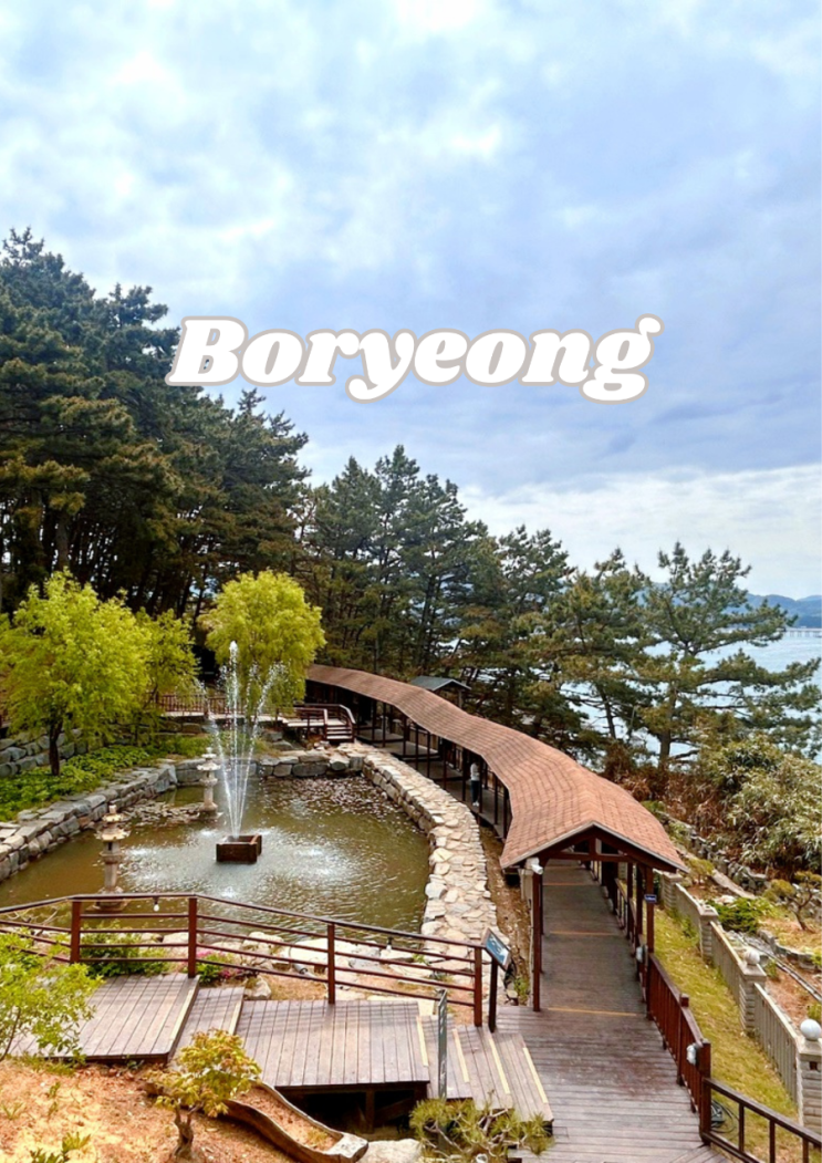  보령 서해 가볼만한 대천 죽도 상화원 관광지 입장료 팁