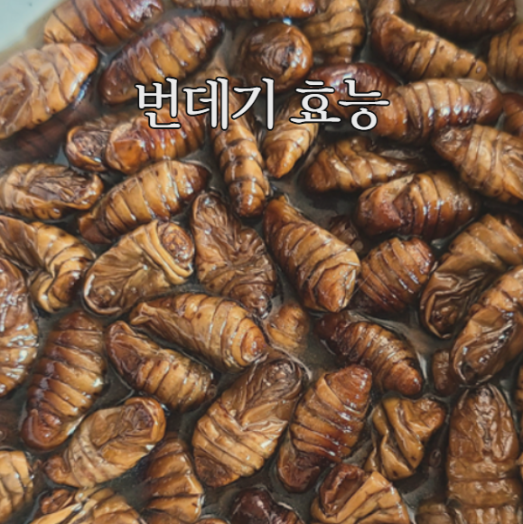  번데기 효능 9가지와 부작용, 칼로리까지 한눈에!