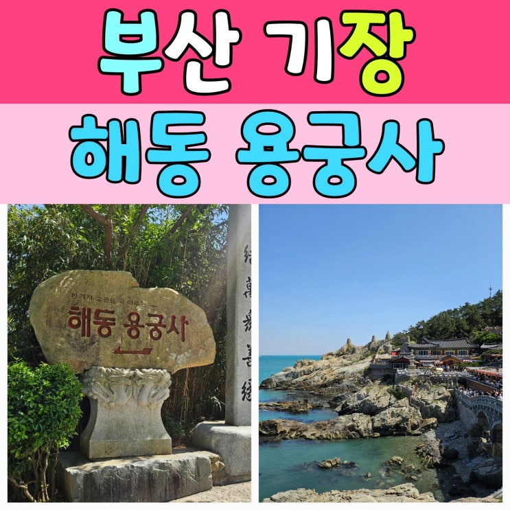  부산 기장 해동용궁사 주차, 부처님오신날에 다녀온 솔직 후기