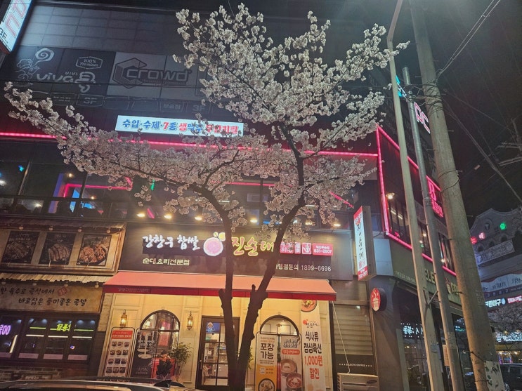  [강창구찹쌀진순대 익산부송점] 순대국의 진수를 경험할 수 있는 맛집!