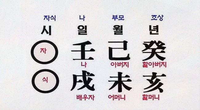  보타점으로 쉽게 알아보는 당신의 사주운세 서비스!