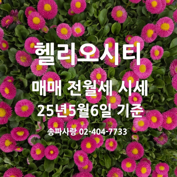  25년 5월 첫째 주 헬리오시티 매매 전월세 시세
