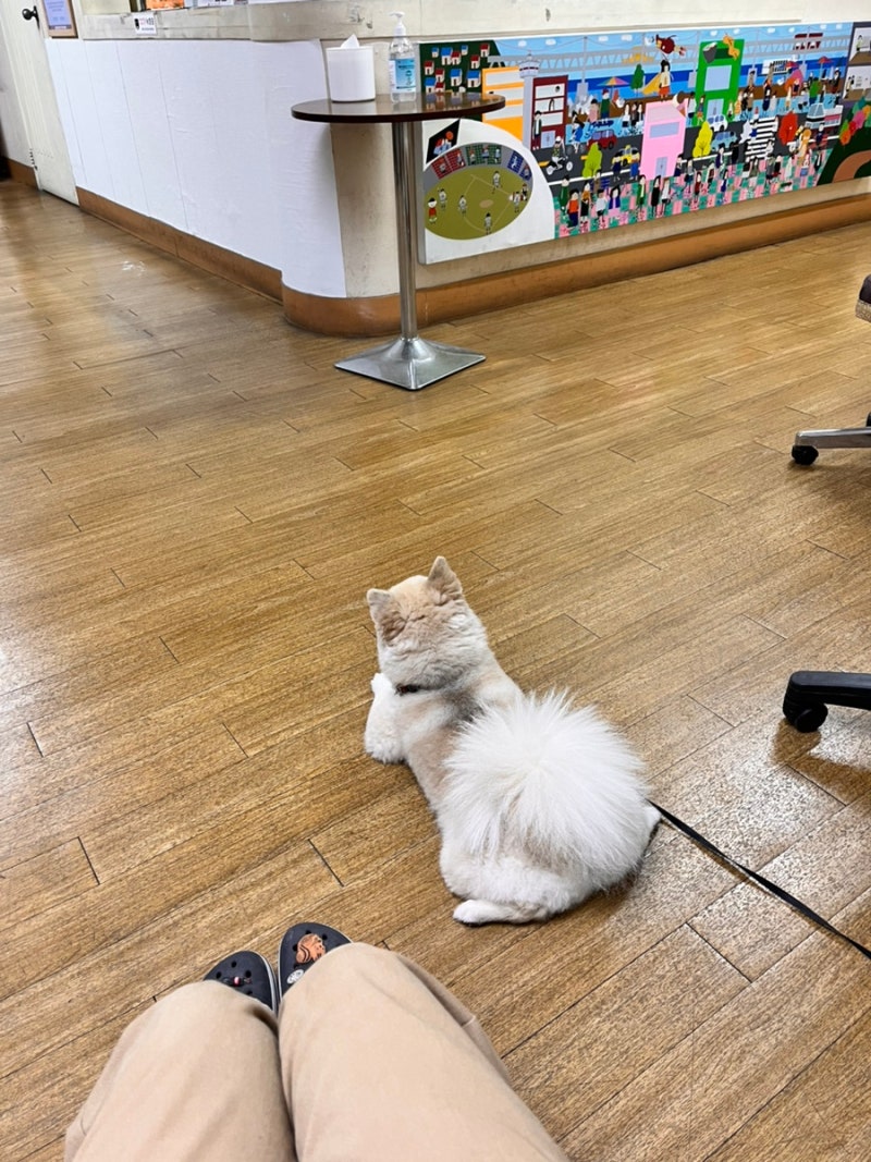사진 7