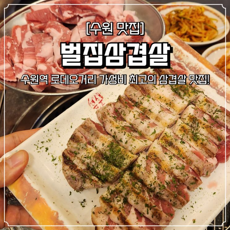  수원역 삼겹살 맛집 벌집삼겹살 로데오거리 가성비 좋은 고기집