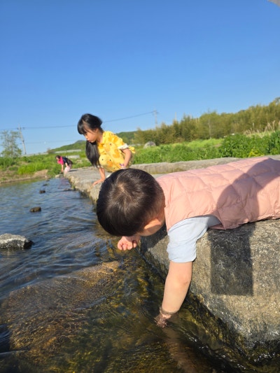 사진 3