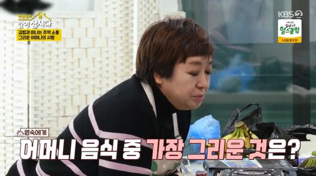 혜은이, 가수로 최고 인기 누렸지만..."아이들과 추억 없어, 너무 미안해" (같이삽시다)[종합]