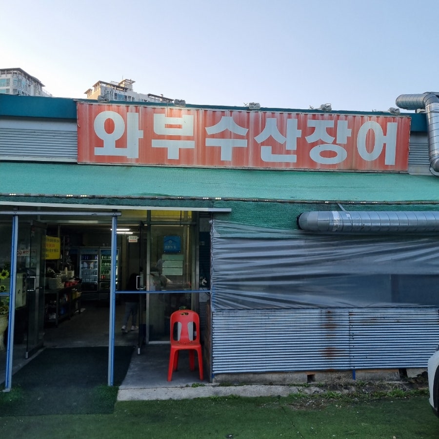 와부수산장어 사진 2