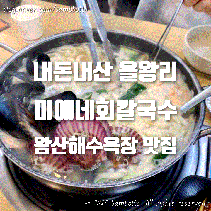  [내돈내산] 을왕리 왕산해수욕장 칼국수 맛집, 미애네 해물회칼국수 4호점 후기