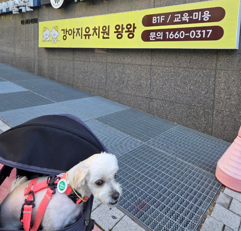사진 9
