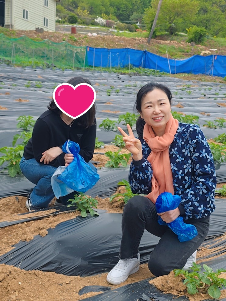  대명국제 비자대행, 민원행정