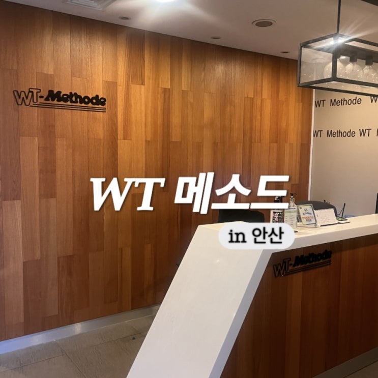  안산두피관리 예민한 두피에는 WT 메소드 안산점