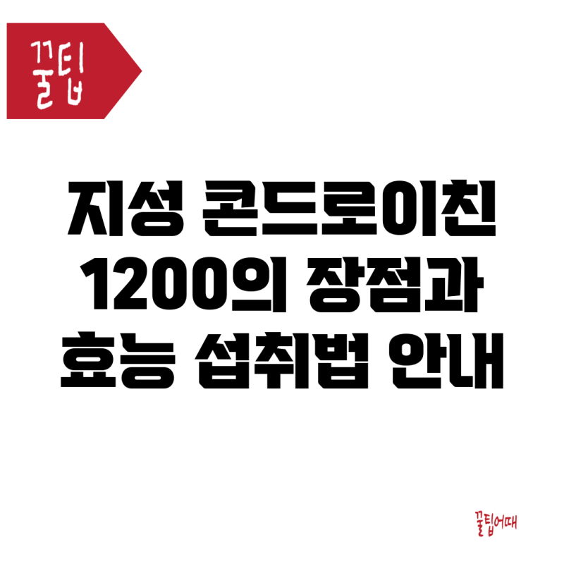 지성 콘드로이친 1200의 장점과 효능, 섭취법 안내