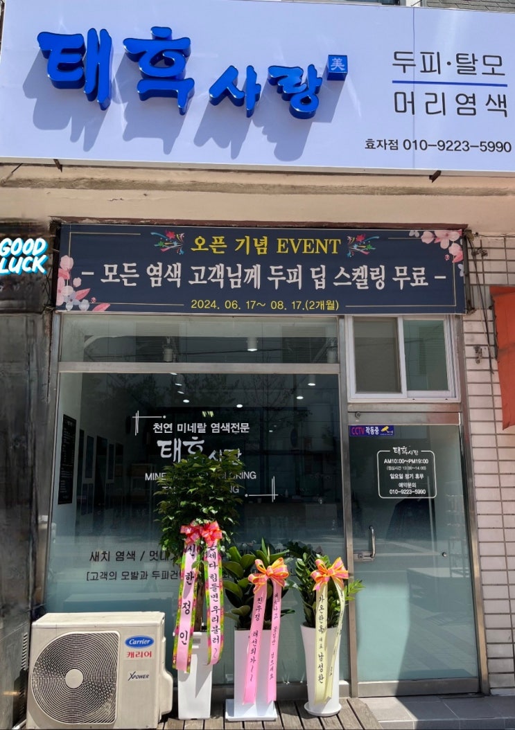  전주 염색 잘하는곳 효자동 두피케어 전문점 [태후사랑] 효자점