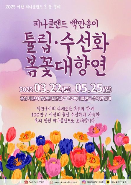  피나클랜드 백만송이 튤립 수선화 봄꽃대향연, 어버이날 가족 나들이 추천 명소