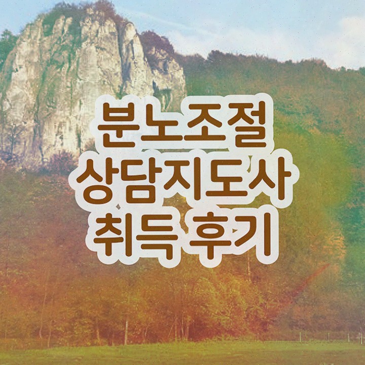  유아 분노조절장애 분노조절상담지도사자격증 합격한 팁 , 커리어 활용방안
