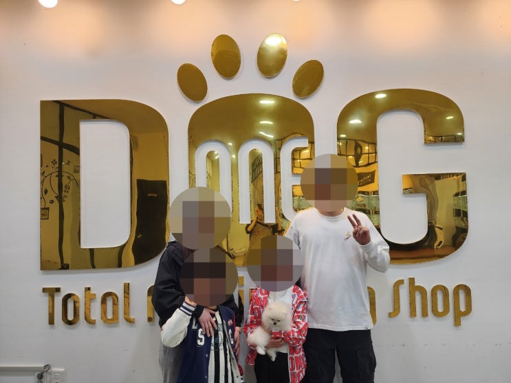  S급 혈통 화이트 포메라니안 분양 어디가 좋을까요? 세종 강아지분양 전문 원독 애견분양 센터가 정답