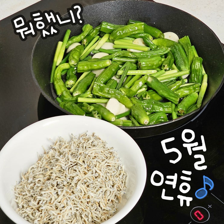  기나긴 2025년 5월 연휴 동안 뭐 했니? 요리 이야기