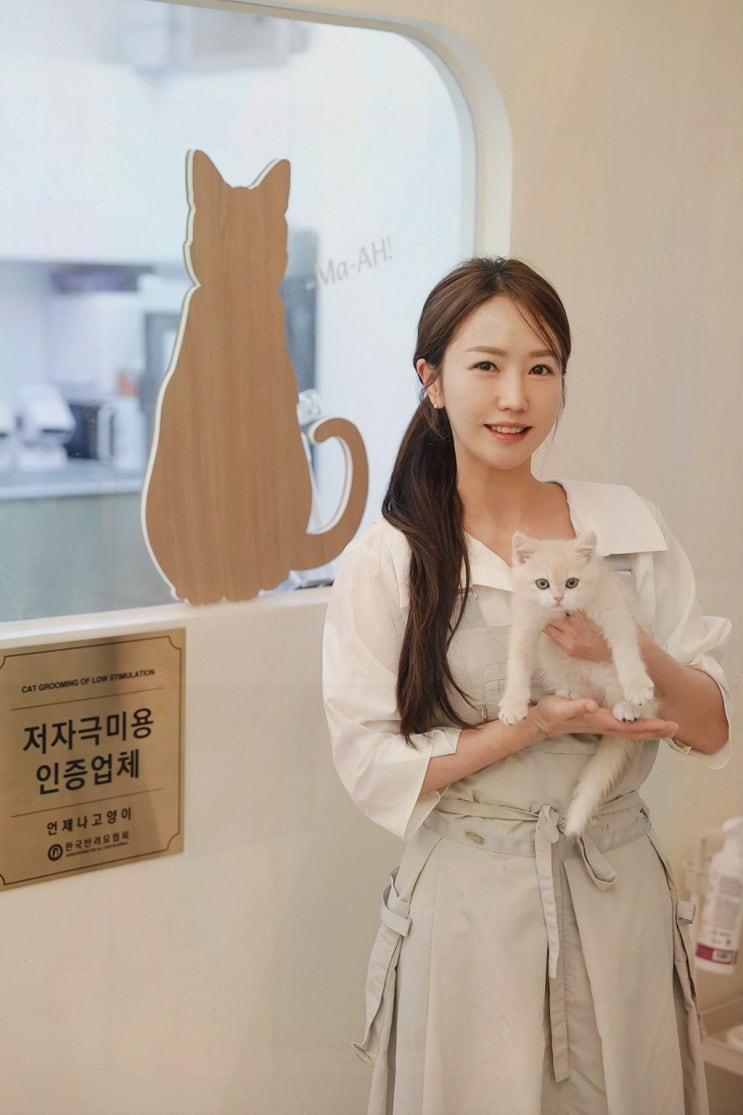  언제나고양이, 믿고 맡길 수 있는 고양이호텔입니다