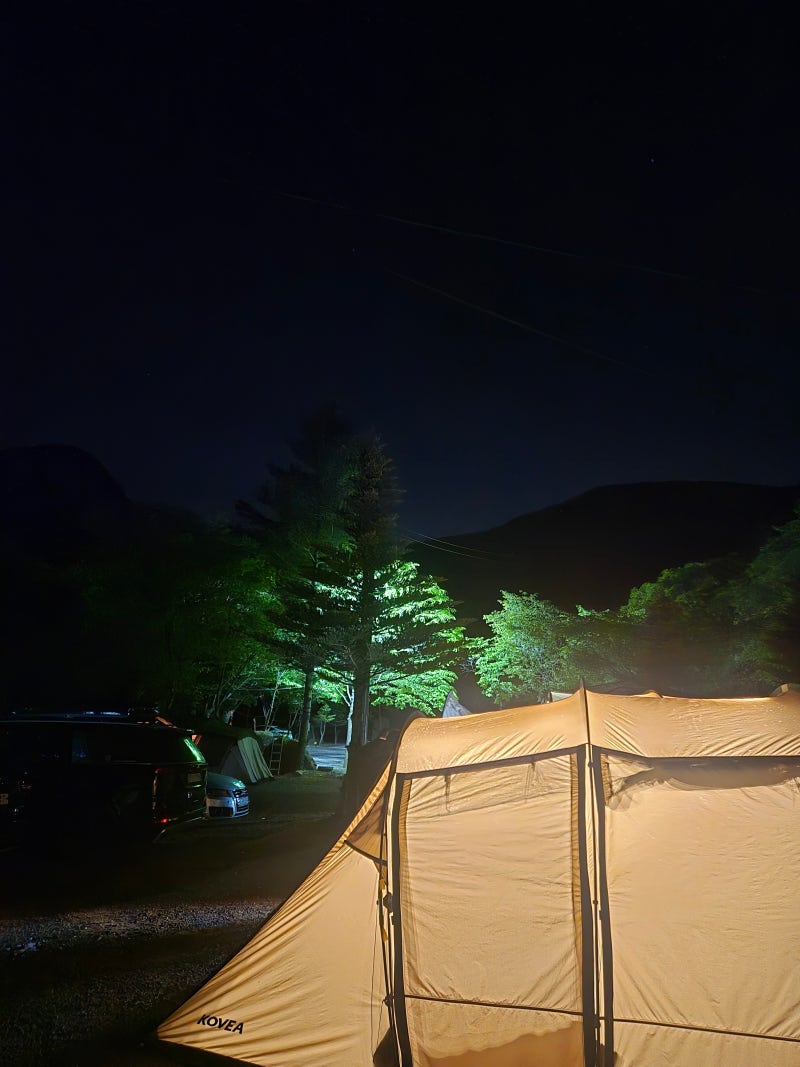 사진 3