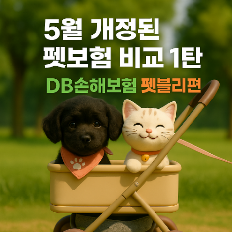  2025 DB 펫보험 비교｜5월 개정 실속형·표준형·통합형 뭐가 다를까?