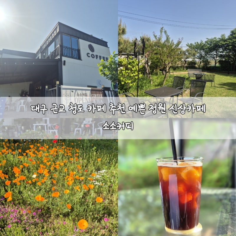 사진 5