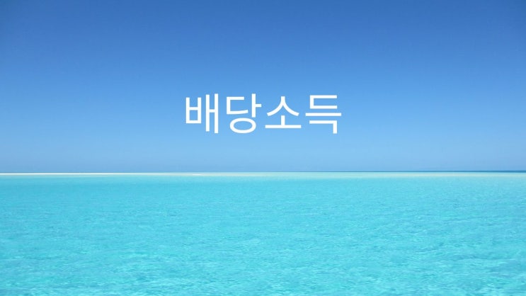  배당소득