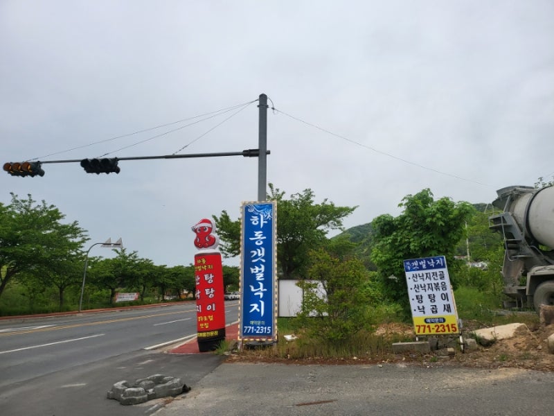 하동갯벌낙지