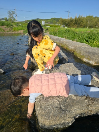 사진 2