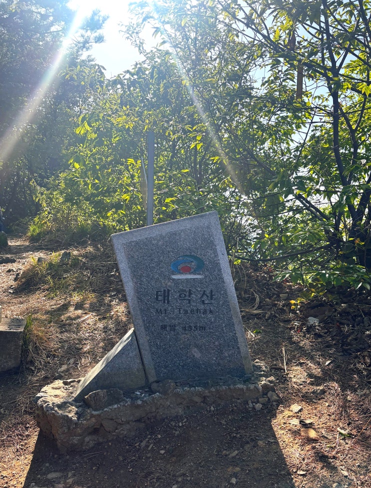  충남 천안 태학산 등산 & 자연휴양림 캠핑 (산에 오르기 너무나 좋은 계절)
