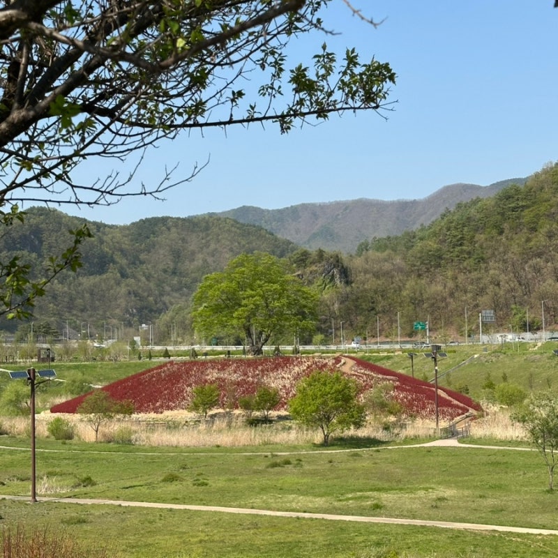 사진 7
