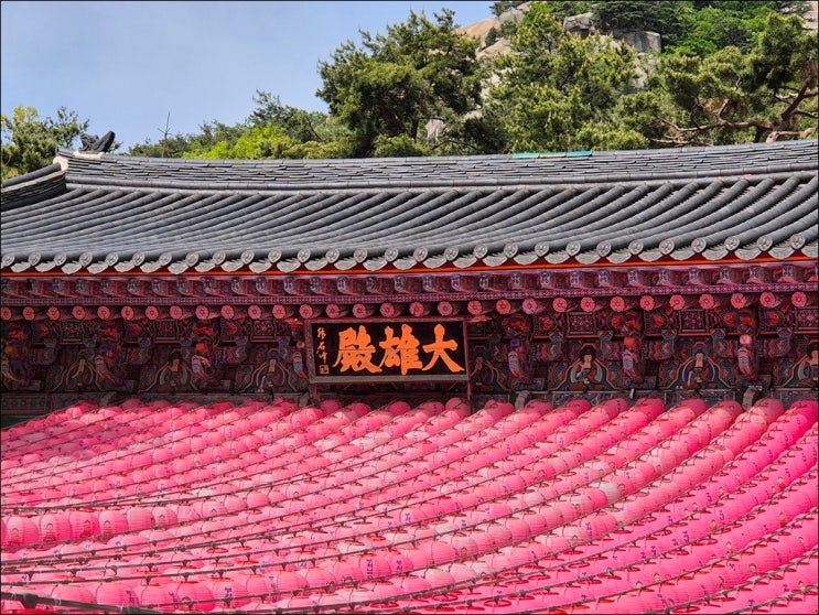  동네 뒷산 봄꽃 나들이(애기봉 숲길, 불암사, 별내중앙공원)