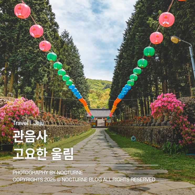 제주도 가볼만한 곳 : 관음사 제주 속 숨은 명소 드라마 촬영지