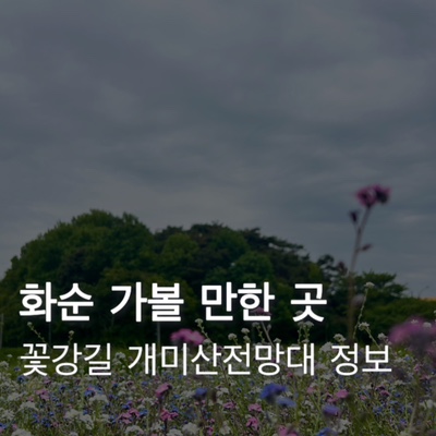  광주근교 화순 가볼만한 곳 2025 봄꽃축제 꽃강길 기간 주차 개미산전망대