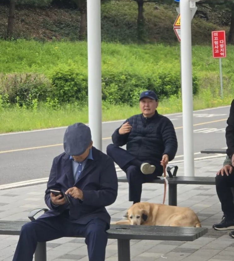 내란 혐의 <b>윤석열</b>, 구속 취소 후 한강공원 산책... 사법정의 논란