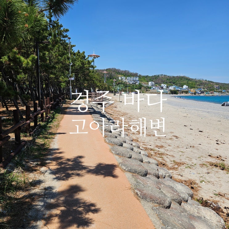  경주 오류고아라 해변 다녀온 후기