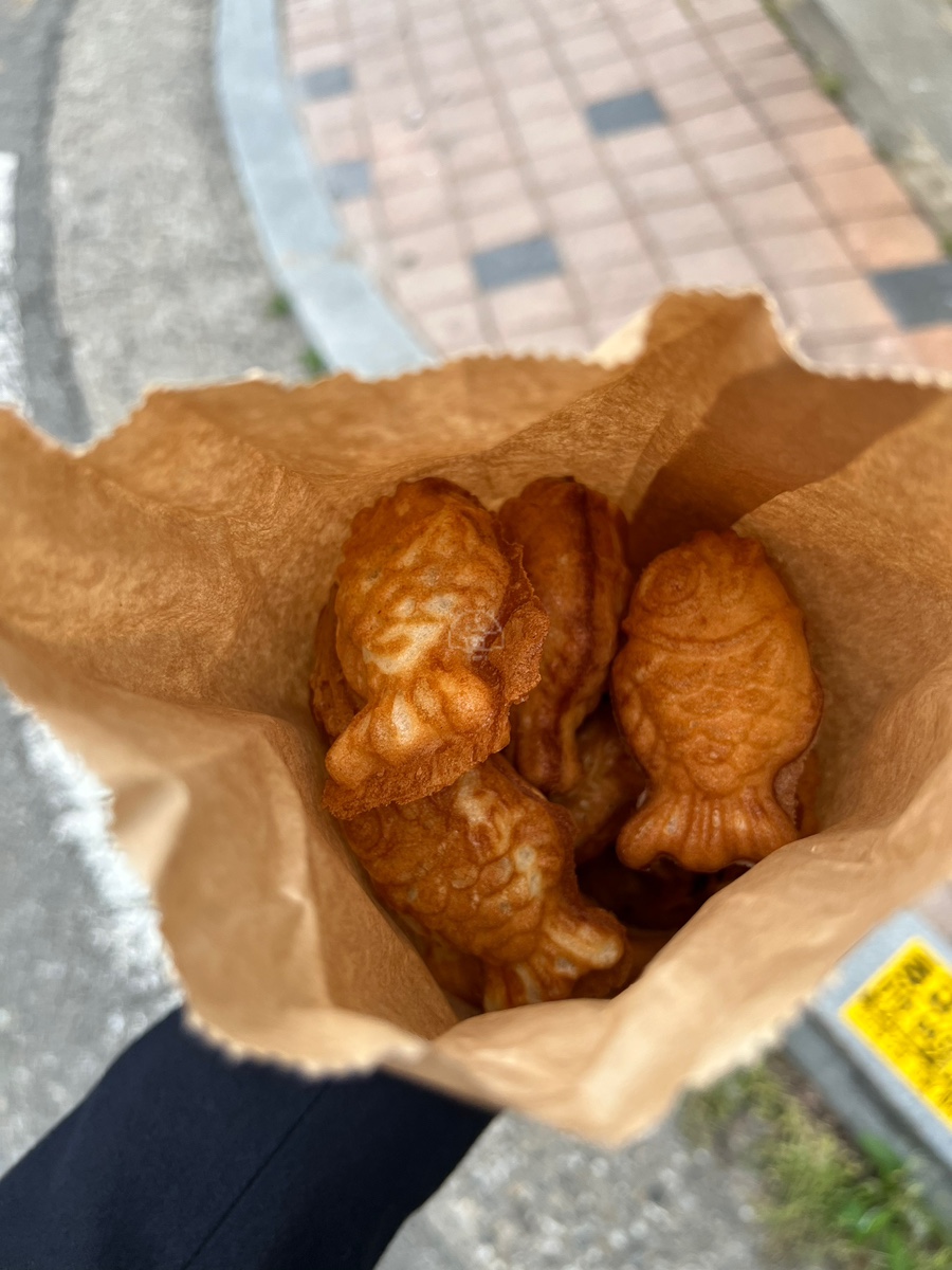 커피나무 사진 6