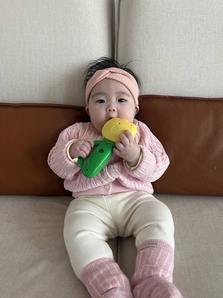  뒤늦게 부랴부랴 털어보는 일상 사진첩 일기 (2월~3월)