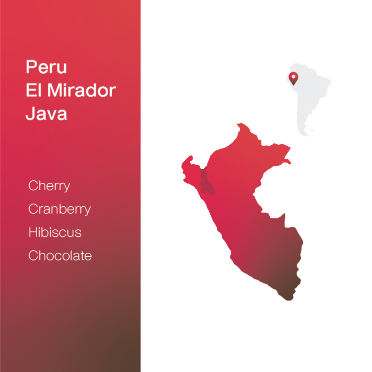  [생두 & 로스팅 리뷰] - 페루 엘 미라도르 자바 내추럴 - Peru El Mirador Java Natural