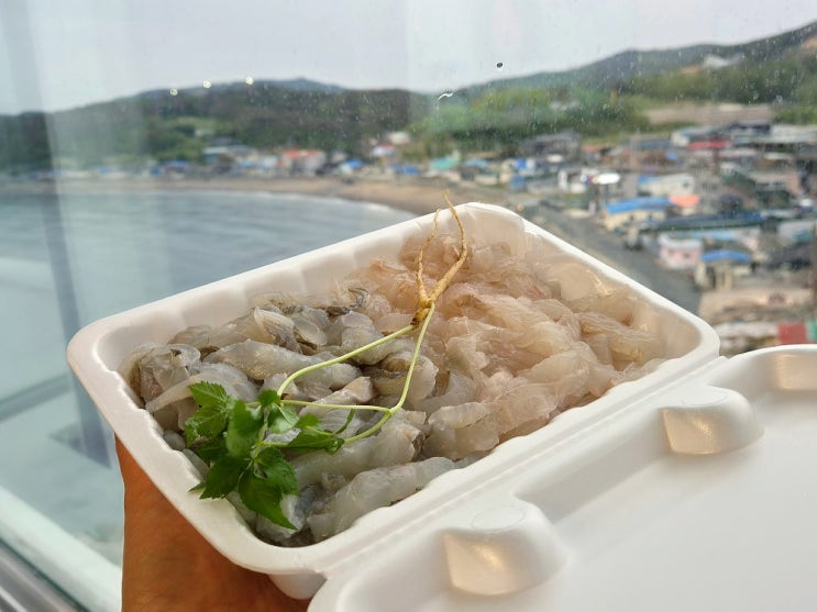  경주 감포수산시장 횟집 부부수산 모듬회해산물 2인세트 포장 후기 (예약 필수)