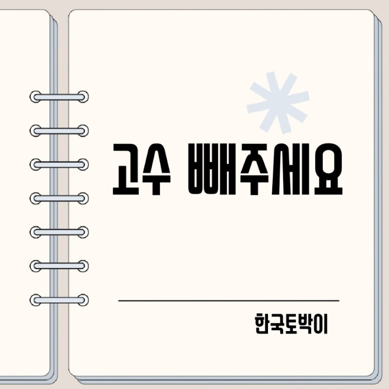 향신료 고수 빼주세요 영어로 태국어 베트남어로