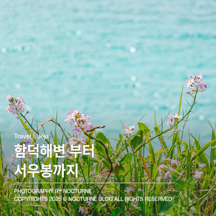  제주도 가볼만한 곳 : 함덕해수욕장, 서우봉, 훈남횟집