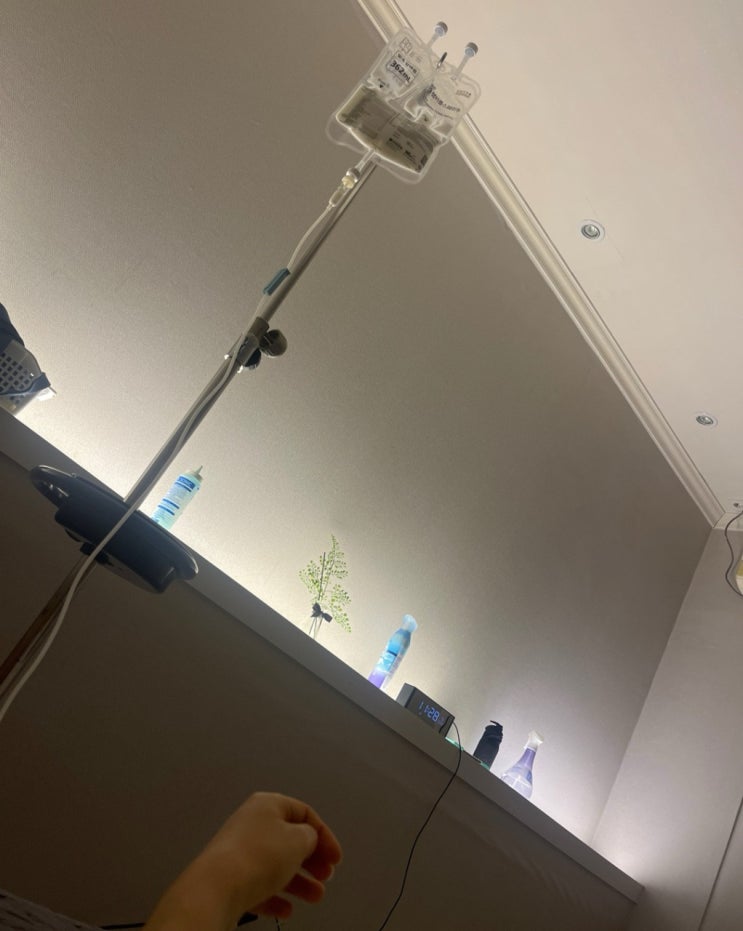  자궁 내막 소파술 후기 생리, 통증, 관리 기록