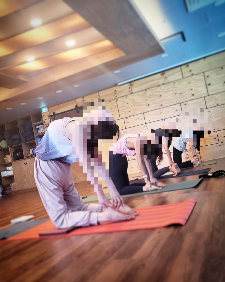  [동백이지요가] 5월 단 99,000원! 요가 처음이라면 지금이 기회!