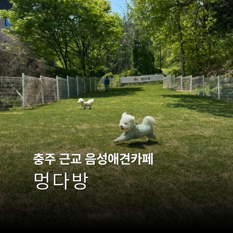 사진 2