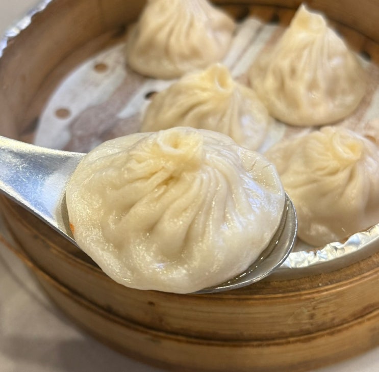  종각맛집 ㅣ 청화 우육도삭면ㅣ 딤섬맛집 종각 점심 맛집 ㅣ광화문 맛집
