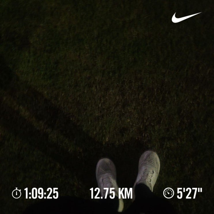 매일 10km 러닝 챌린지 1367일 차